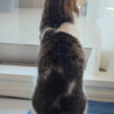 7jwvFsDSUk92726's profile picture. 下手の横好きでギター・APEX・木工などやってます。
凛として時雨とヨルシカ、櫻坂が好きです。
モノづくりが得意です