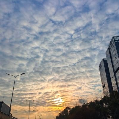 YanGuo297549's profile picture. 