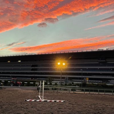 youdzj's profile picture. 🐴 SGC10期（1年） / 大学芸会 ⚾️