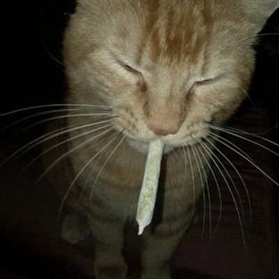 zeth_x_'s profile picture.