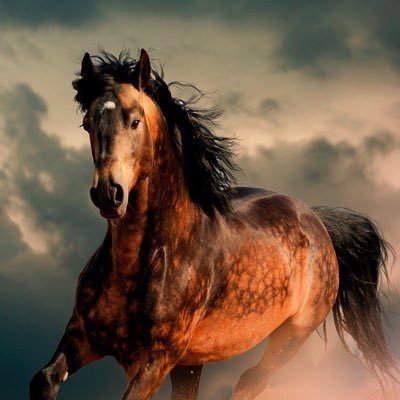 شرعيه الأسهم مسؤوليتك كل ما يتم طرحه هو مجرد رأي فني وقد أصيب وقد اخطاء💰🚀🎯📈