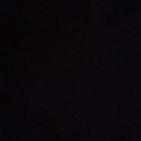 Rece Stempfer (@recestempfer) 's Twitter Profile