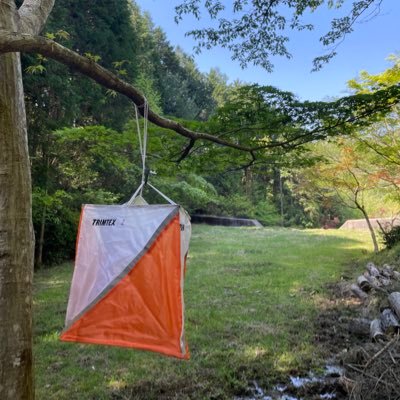 nana_olc's profile picture. オリエンテーリング