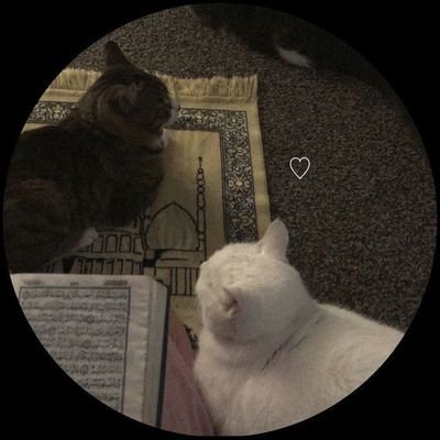 وشُدَّ العزمَ للأُخرى وعمِّرها
... هُنا دُنيا وليست جنَّةَ الخُلدِ