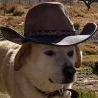 Kendall Fuego🧩⁷ (@kendallfuego) 's Twitter Profile