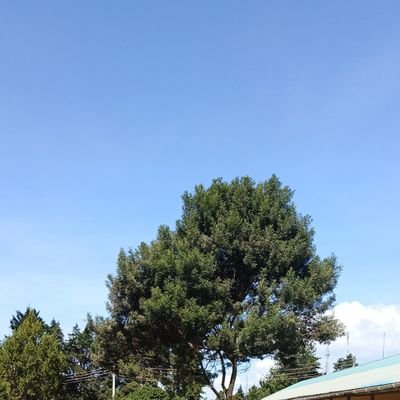 martgk's profile picture. 