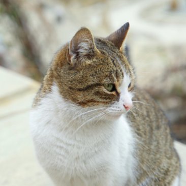 asieseminesp's profile picture. ¡así soy yo!