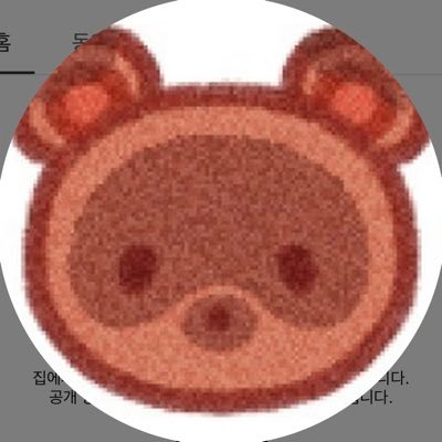 타누키치たぬさんのプロフィール画像