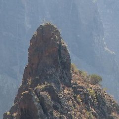 dqpfx67428754's profile picture. ❤もう君以外愛せない❤