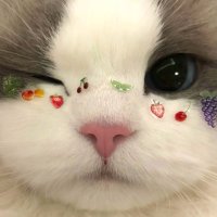 ππππβ‘β·β· (@sxlsr) 's Twitter Profile