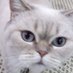 miuav (@kikkirella) Twitter profile photo miuav (@kikkirella) Twitter profile photo