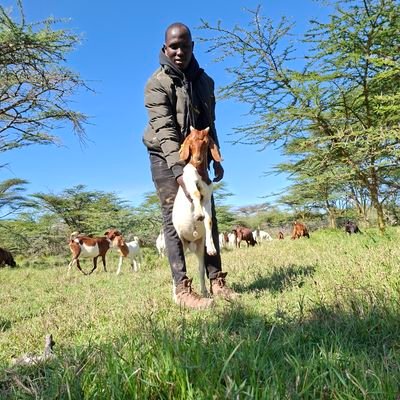 HUSBAND,FATHER/ GOAT BREEDER SPECIALIST/ BREED SELECTION MASTER.
THE GOAT'S LIFE MASTER CLASS BREEDING KENYA.