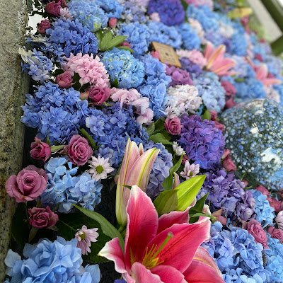 mjraj673695's profile picture. 