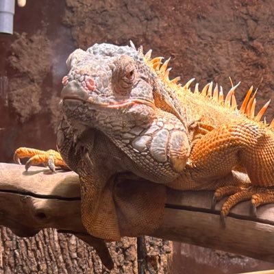 m8qCHObxob91706's profile picture. 20↑みる垢