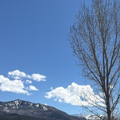 vtewarrior's profile picture. 