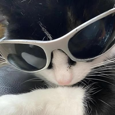 handeeerw_0g's profile picture. 