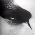 Selin (@sadece_selinnn) Twitter profile photo Selin (@sadece_selinnn) Twitter profile photo