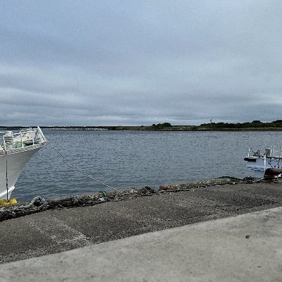 long_qiao85635's profile picture. 