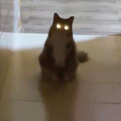 puteriilahi's profile picture. 