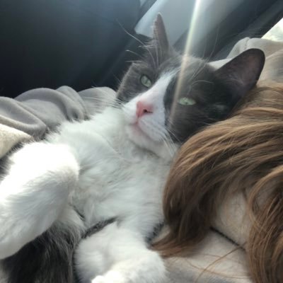 nnarcisse_'s profile picture. 🎧