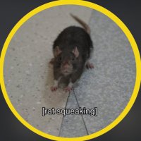 No Context The Pitt (@nocontextpitt) 's Twitter Profile Photo No Context The Pitt (@nocontextpitt) 's Twitter Profile Photo