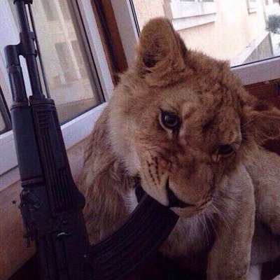 notsmartfield's profile picture. burningpacks aka Jxay015