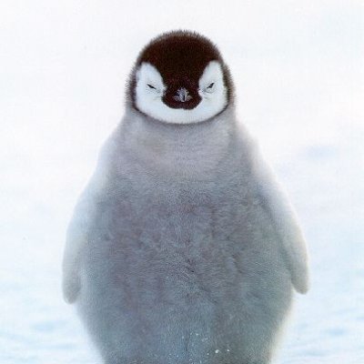 PENGkunさんのプロフィール画像