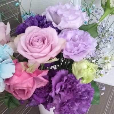 天空より星に舞い降り花に咲き宙に輝いた星の幸せを願う/KIKI is my life/プロフィールはNewDayへ羽撃く姿を見守り見つめた大切な日の記憶。