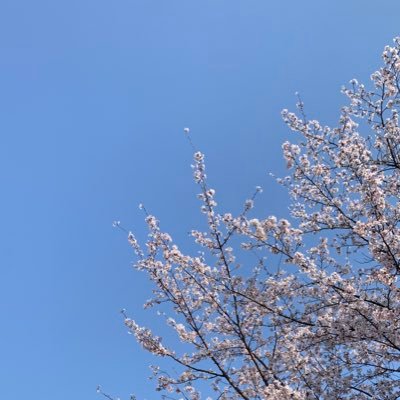 FP9wcg54675's profile picture. 