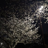 ꪔ̤̮ ꪔ̤̥ (@hi_band8) Twitter profile photo
