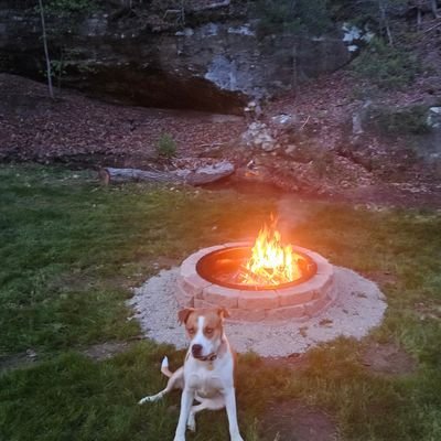 SextonStep55106's profile picture. 