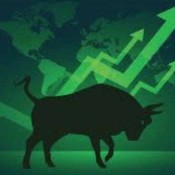 b_cryptobull's profile picture. 