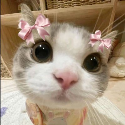 FrancineAm39753's profile picture. Him always, in all ways🫂❤️