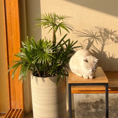 うとさんのプロフィール画像