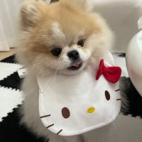sb ྀི (@goingsarah_) 's Twitter Profile Photo sb ྀི (@goingsarah_) 's Twitter Profile Photo