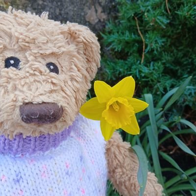 Edward🐻さんのプロフィール画像