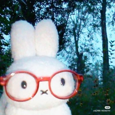 kayadonut's profile picture. i draw sometimes 私の日本語はへたで(￣^￣)ごめん