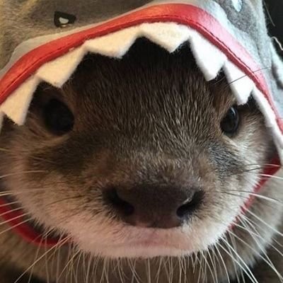 ivanzito1337's profile picture. Não me leve a serio @corinthians