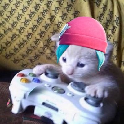 Me encantan los videojuegos ❤️✨ buscando amigos de cualquier parte del mundo 🌍 ✨para jugar un rato y pasarla bien. 🎮💕