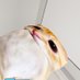 apuy. (@ihugyidut) Twitter profile photo apuy. (@ihugyidut) Twitter profile photo