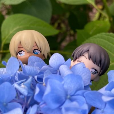 竜田揚げさんのプロフィール画像