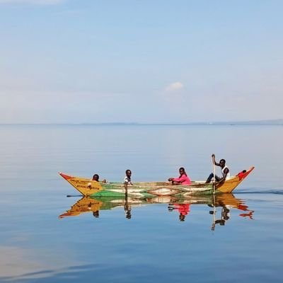 C_Nyakundhi's profile picture. BSc.N | Researcher | Data Analyst