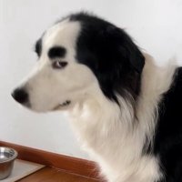 LOEy_OSH||| (@sh_ose) 's Twitter Profile