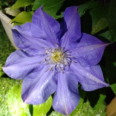 ubhxxhj's profile picture. 