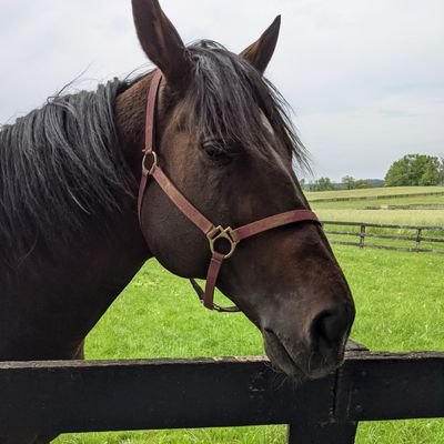 Lisa Frieze ππΊπ¦ππ Profile