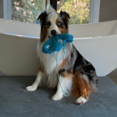 MariaCl91466441's profile picture. 