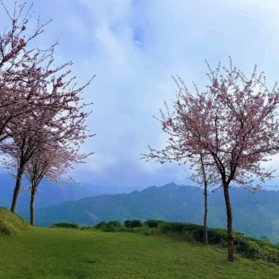 AnuragKuma23261's profile picture. Hum Bihar se hai ❤️