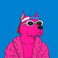 oliver.doge ๐ป (@__4luca) 's Twitter Profile