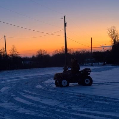 schwochow35233's profile picture. 