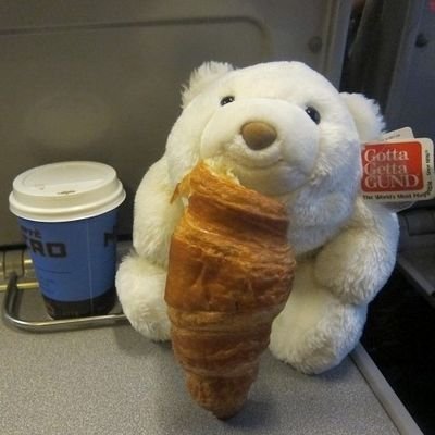 polarhead3000's profile picture. 22 🪐 hobbies include: yapping, taking pics of every tree i see, daydreaming about dead sailors